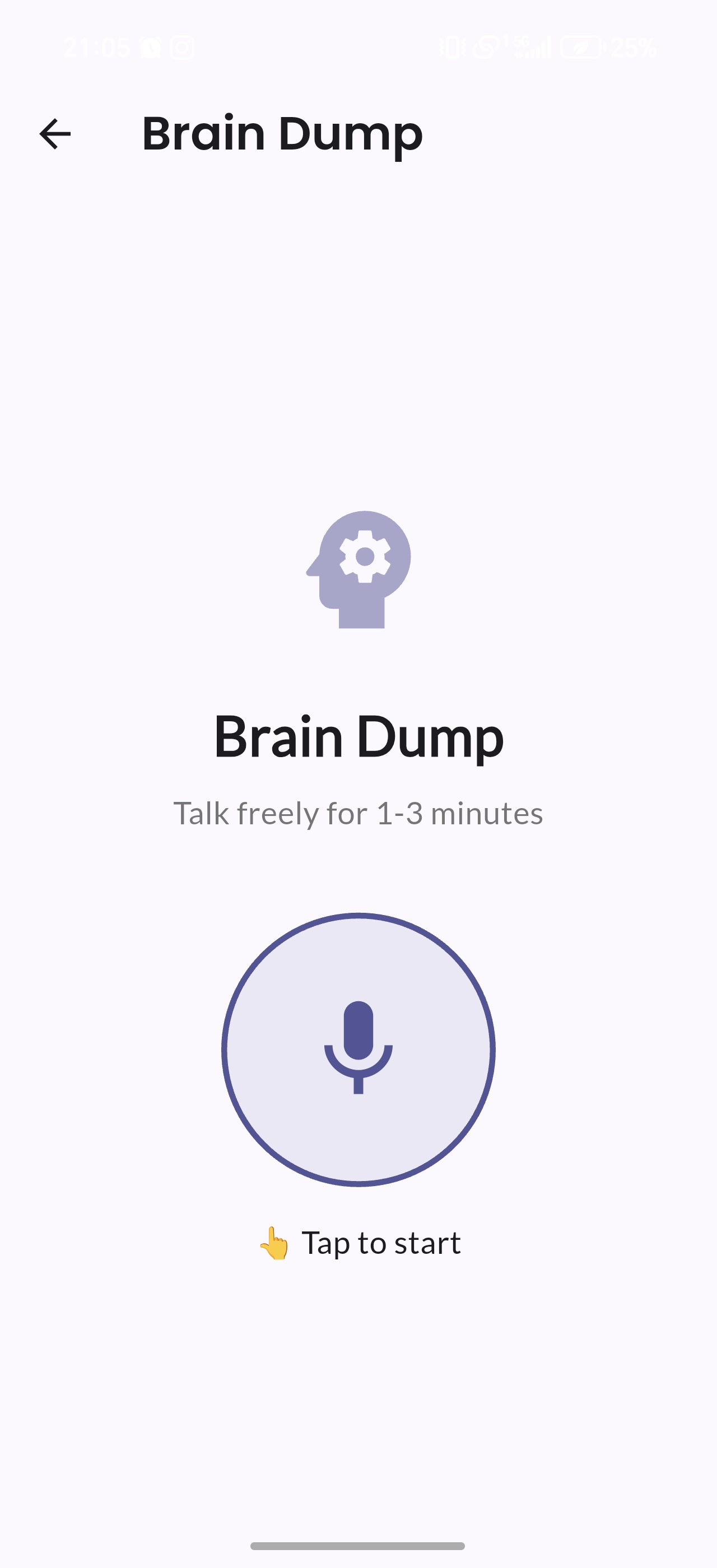 Brain Dump Interface